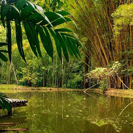 Reserva Biologica Caoba Bonda Luaran gambar