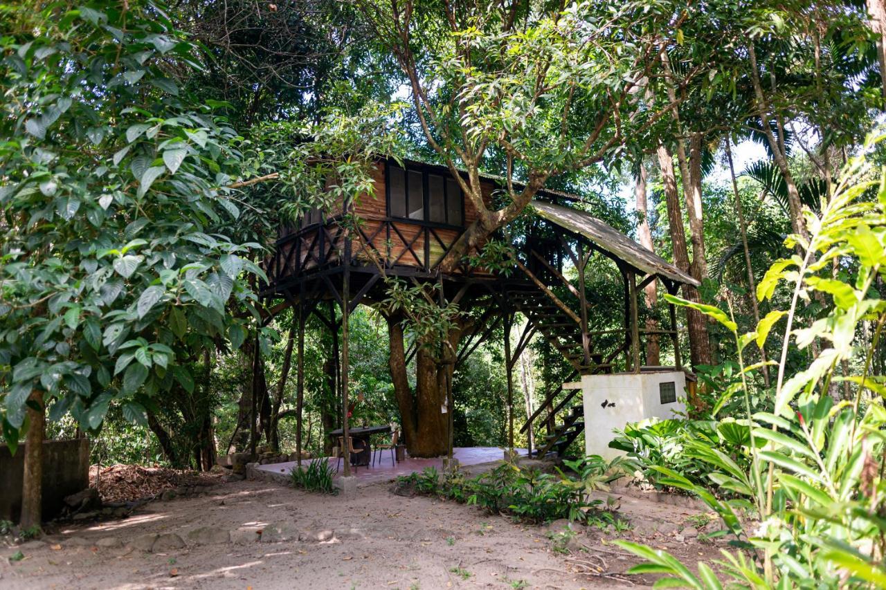 Reserva Biologica Caoba Bonda Luaran gambar
