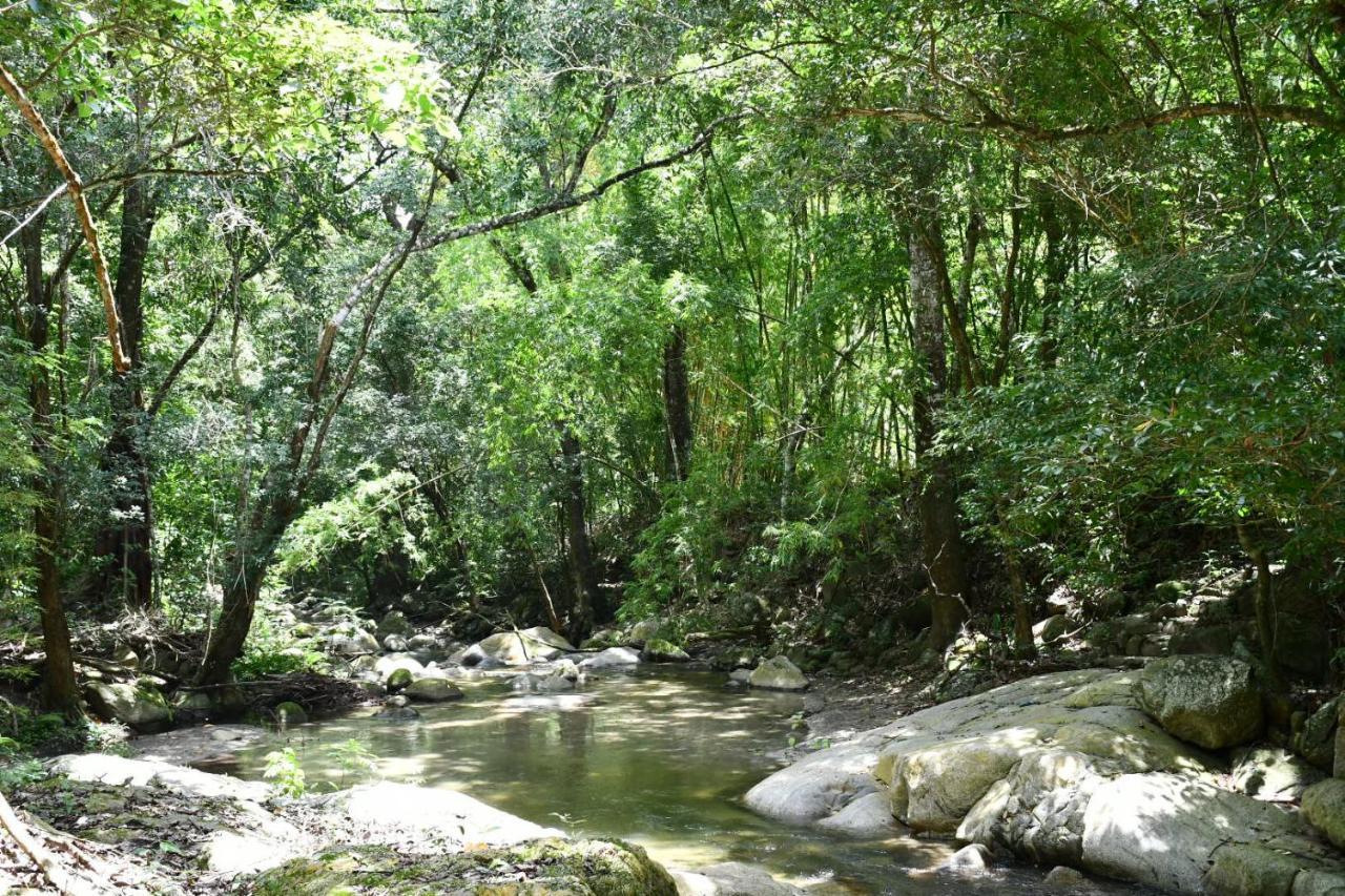 Reserva Biologica Caoba Bonda Luaran gambar