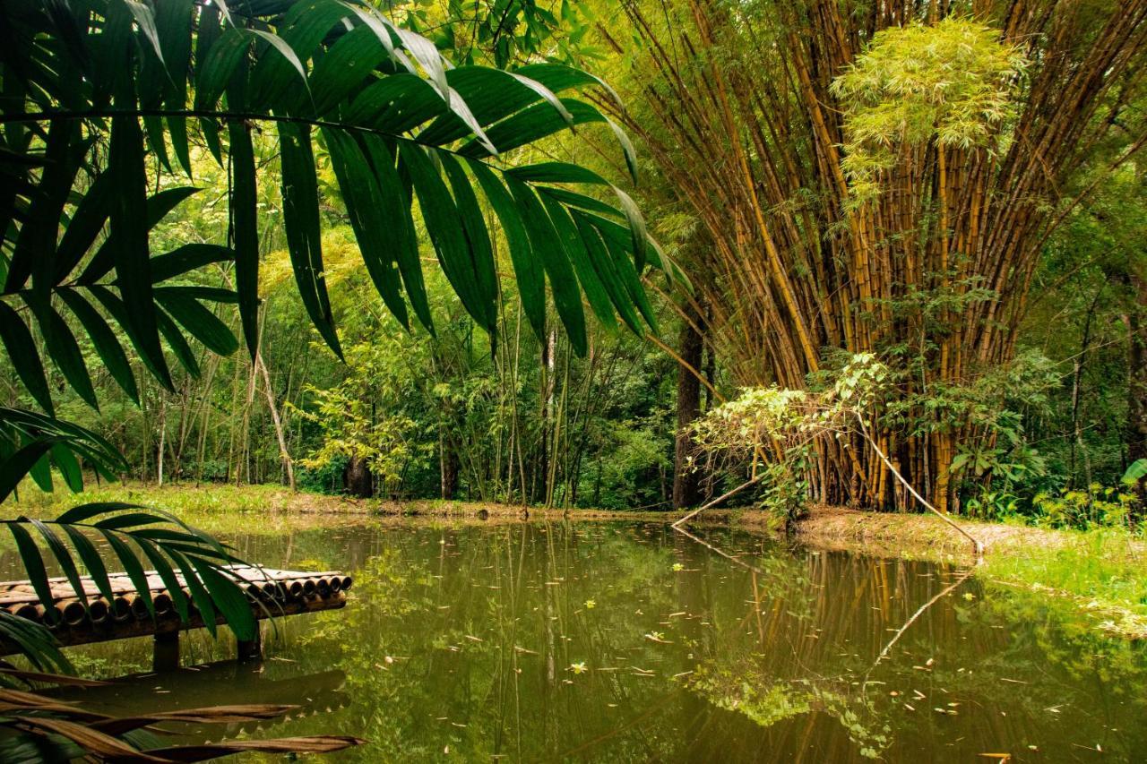 Reserva Biologica Caoba Bonda Luaran gambar